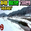 여주-0202 네이버블로그