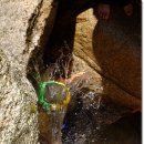 구기공원 이미지