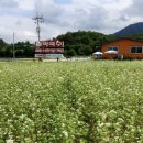 관인약수터막국수 이미지