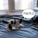 웰컴스테이B 이미지