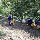 공주시청 이미지