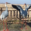 김포평화누리길 3코스 이미지