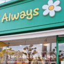 동해시-24 이미지