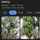 이성운수 | 저 임신했어요(벌써 15주차..?)