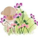 매송로360번길 이미지