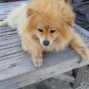 명석면사무소 이미지