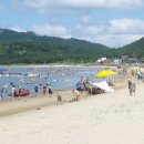 대광해수욕장 이미지