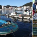 달맞이길 이미지