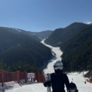 월남슈퍼 이미지