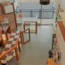 할리우드펫 이미지