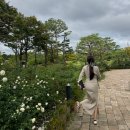 대동목욕탕 | 임산부의 무계획으로 떠난 대전 뚜벅이 당일치기 기차여행 가볼만한곳 추천 후기
