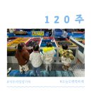 해보5일시장 | 육아기록 120주차, 겨울에는 주 2회 워터파크가야지(김해롯데워터파크, 해운대 클럽디오아시스)