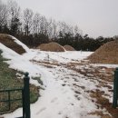 파주 성동리 고분군 이미지