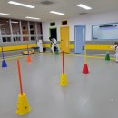 새나루 태권도 이미지