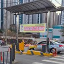 무마취 고양이 미용실 반할고양 이미지