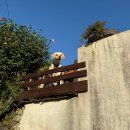 바가펜션 | [공지] 통영 독채 펜션 모망드레브 와인바가 있는 감성숙소 내돈내산