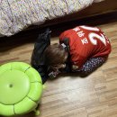 새마을전통시장1(새마을상가번영회) | 미니 망년회로 밀양 접수하고 왔습니다