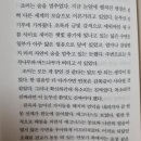 새라조이 이미지