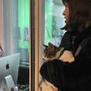 올망똘망스튜디오 이미지