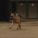 알프하우스 이미지