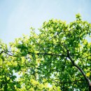 일본어회화 초급 이미지