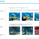 (주)인피니티미디어 네이버블로그