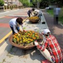 황골공원 이미지