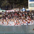 덕포 펭귄 이미지