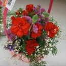 신텍에듀헬스케어(S.T Edu-Healthcare) | 오늘의 뉴스 헤드라인(2020.5.28)