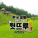 성유농장 | 강릉 놀거리 뒷뜨루, 카페와 동물, 식물, 수많은 포토존까지 있는 관광농원