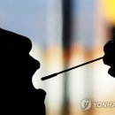 동해시-55 이미지