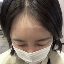 송파24약국 | 송파속눈썹펌 쁘에르 에스테틱 후기(눈이 편안한 노글루 수분 속눈썹 교정펌)