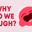 why do we laugh?(4월3일) 이미지