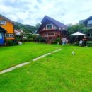 경주 동물 약국 이미지