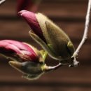 보라매동주민센터 이미지