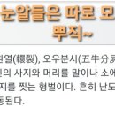 김동찬내과 네이버블로그
