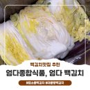 개운한 | 백김치맛집 | 시원하고 개운한 대용량백김치, 엄다 백김치 10kg 후기