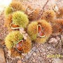 푸른산농장 이미지