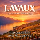 ARAN9st 스위스 여행 중 가장 아름다웠던 곳, 스위스 라보(Lavaux)포도밭