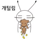 청구정형외과 네이버블로그