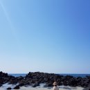 일과서림 이미지