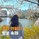 봉황교 | 경북 김천 가볼만한곳 김천 연화지 벚꽃 축제 주차