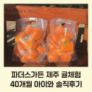 미래가든 | 파더스가든 제주귤체험 40개월 아이와 솔직후기