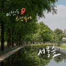 서울숲길 | 서울 야외 웨딩스냅 장소 추천 서울숲 촬영 후기