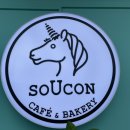 소유콘(SOUCON)