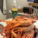 적선지가 성곡점 | 대구 부산 근교 청도 한옥 독채 펜션 '적선지가 성곡점' 내돈내산 애견동반 후기 🐶 🐕‍🦺 🌝