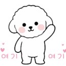 멍냥멍냥 미용실 이미지