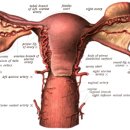 한그루한의원 이미지