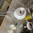 맘존 여성병원 이미지