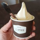 꿀벌목장 | [뮤지컬] 굿네이버스 회원 문화이벤트 뮤지컬 관람 후기 "꿀벌 마야의 모험"